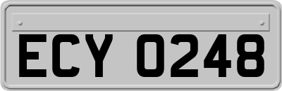 ECY0248