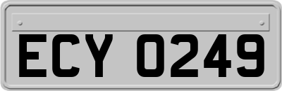 ECY0249