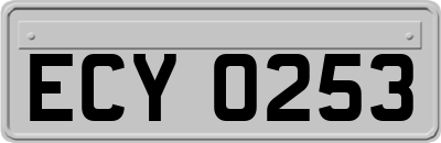 ECY0253