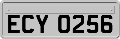 ECY0256