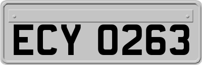ECY0263
