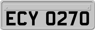ECY0270