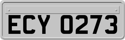 ECY0273