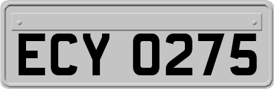 ECY0275