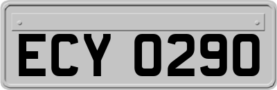 ECY0290