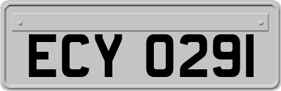 ECY0291