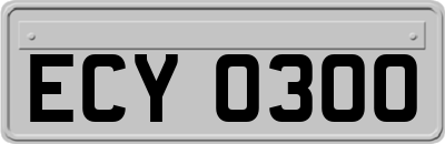 ECY0300