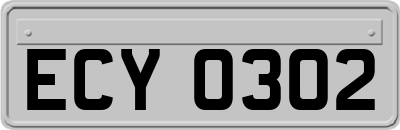 ECY0302