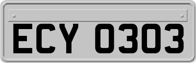 ECY0303