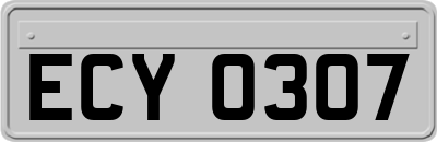 ECY0307