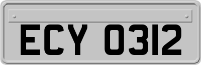 ECY0312