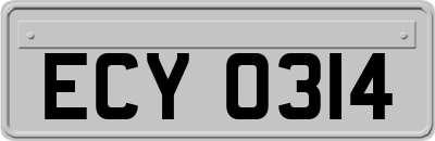 ECY0314
