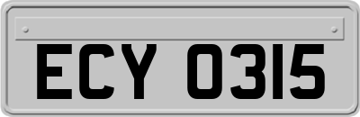ECY0315