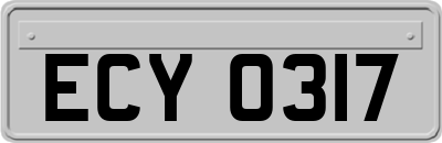 ECY0317