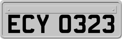 ECY0323