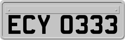 ECY0333