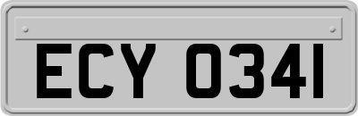 ECY0341