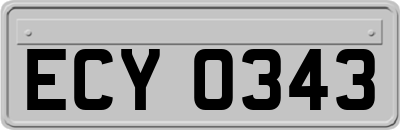 ECY0343