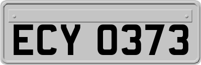 ECY0373