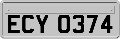 ECY0374