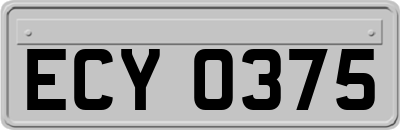 ECY0375
