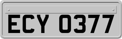 ECY0377