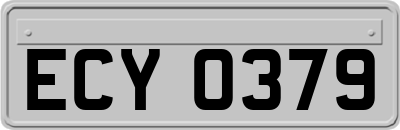 ECY0379