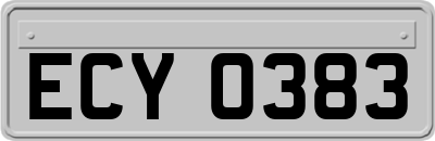 ECY0383