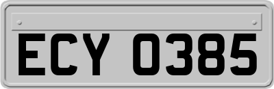 ECY0385