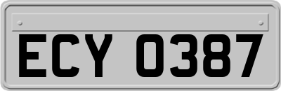 ECY0387