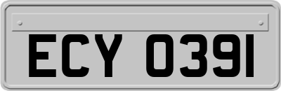 ECY0391