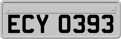 ECY0393