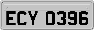 ECY0396