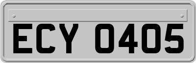 ECY0405