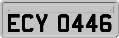 ECY0446