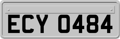 ECY0484