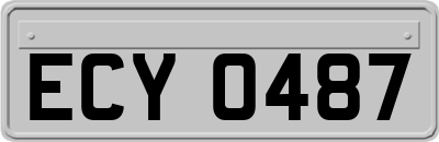 ECY0487