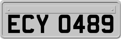 ECY0489
