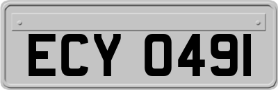 ECY0491