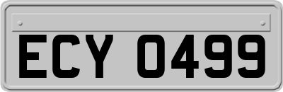 ECY0499