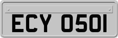 ECY0501