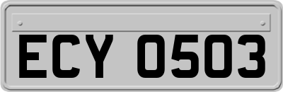ECY0503