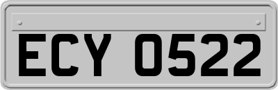 ECY0522