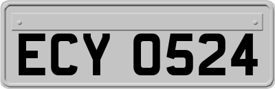 ECY0524