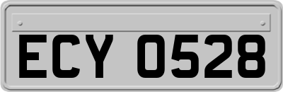 ECY0528
