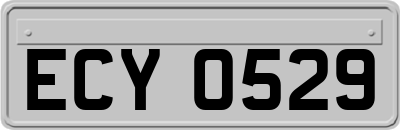 ECY0529