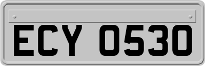 ECY0530