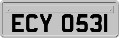 ECY0531
