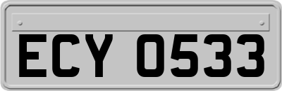 ECY0533