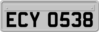 ECY0538